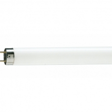 Лампочка Philips TL-D 30W/54-765 1SL/25 (928025405451)